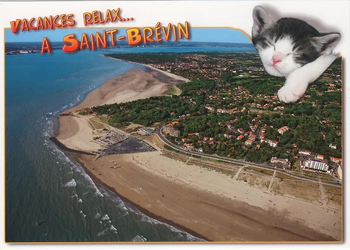 Apartman Alcantara Vue Mer, Premiere Ligne *