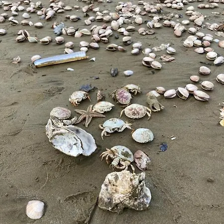 Alcantara Vue Mer, Premiere Ligne Апартаменты Сен-Бревен-ле-Пен