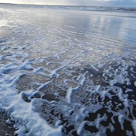 Alcantara Vue Mer, Premiere Ligne Апартаменты *